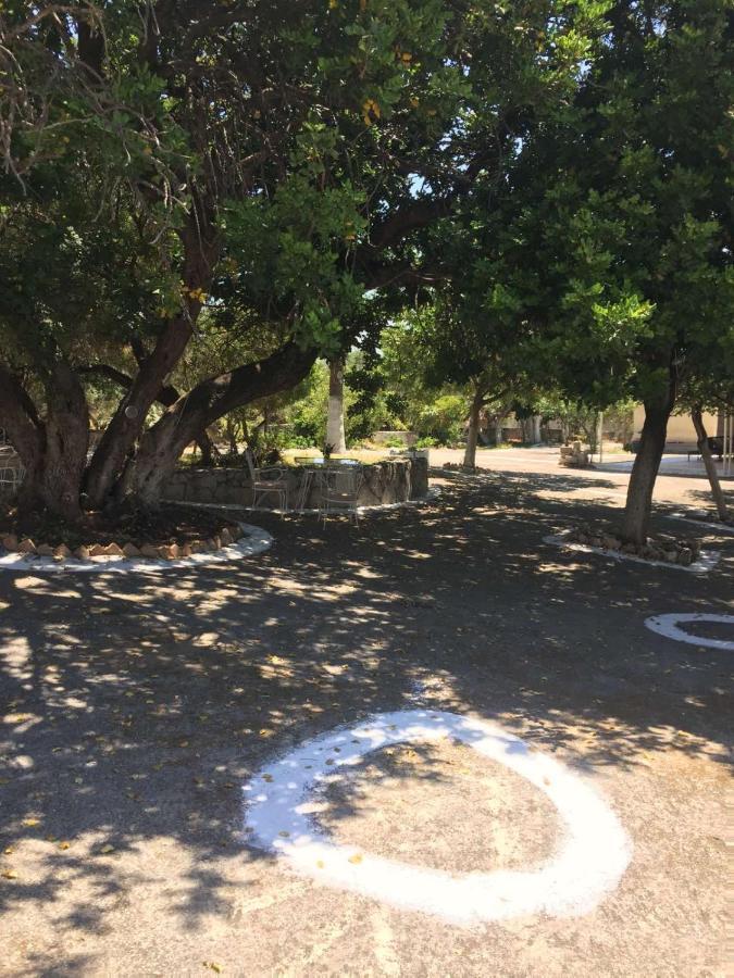 Αγρόκτημα Χελωναριά - Agroktima Chelonaria Vandrerhjem Chrani Eksteriør bilde