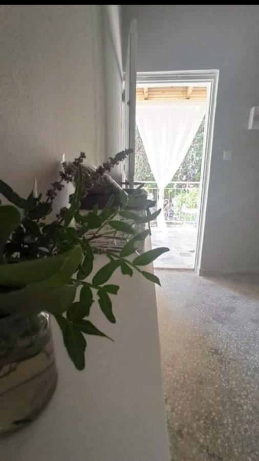 Αγρόκτημα Χελωναριά - Agroktima Chelonaria Vandrerhjem Chrani Eksteriør bilde