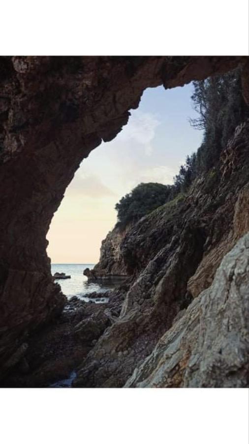 Αγρόκτημα Χελωναριά - Agroktima Chelonaria Vandrerhjem Chrani Eksteriør bilde