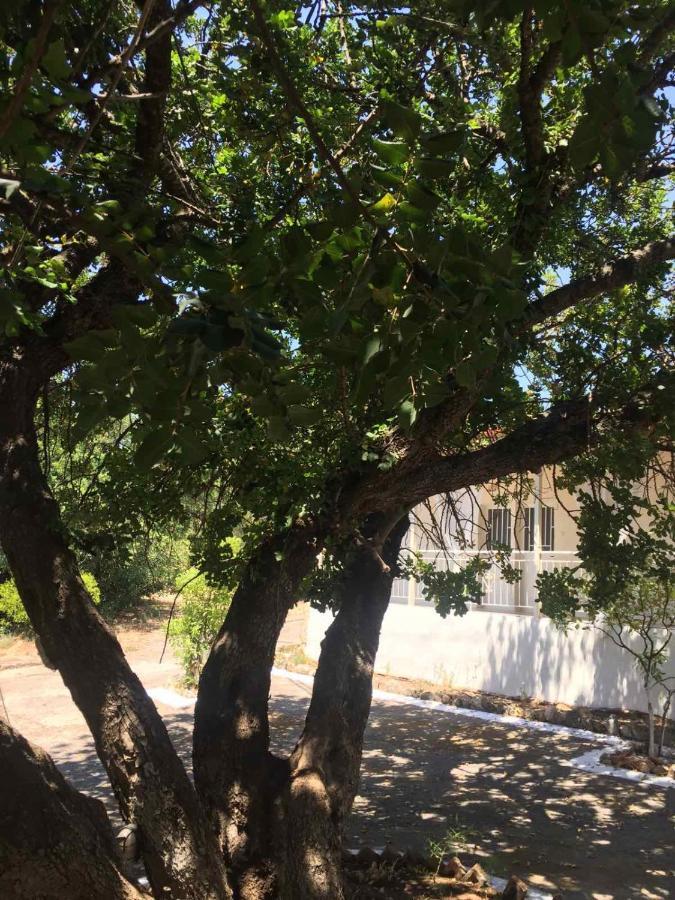 Αγρόκτημα Χελωναριά - Agroktima Chelonaria Vandrerhjem Chrani Eksteriør bilde