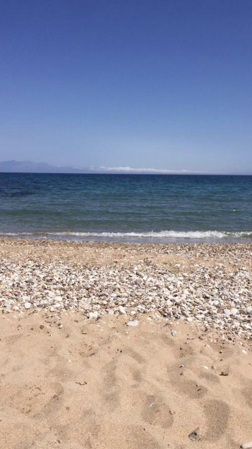 Αγρόκτημα Χελωναριά - Agroktima Chelonaria Vandrerhjem Chrani Eksteriør bilde